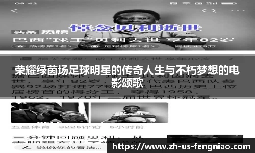 荣耀绿茵场足球明星的传奇人生与不朽梦想的电影颂歌