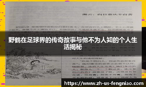 蜂鸟电竞官方网站